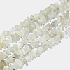 Natural White Moonstone Chip Beads Strands X-G-E271-112-1