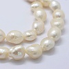 Natural Cultured Freshwater Pearl Beads Strands PEAR-K004-05C-01-3