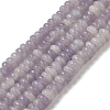 Natural Lepidolite/Purple Mica Stone Beads Strands G-K343-C03-02-1