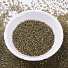 MIYUKI Delica Beads SEED-X0054-DB0288-2