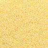 TOHO Round Seed Beads SEED-JPTR11-0902-2