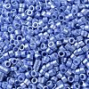 Baking Paint Glass Seed Beads SEED-S042-15A-12-3