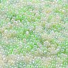 Glass Seed Beads SEED-K009-02B-20-3