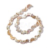 Drawbench Style Natural Freshwater Shell Beads Strands X-SHEL-F003-05-3