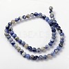 Natural Sodalite Beads Strand X-GSR6mmC013-3