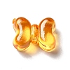Transparent Acrylic Beads TACR-P003-10G-1