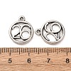 Tibetan Style Alloy Pendants FIND-C094-31A-AS-3