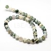 Natural Tree Agate Beads Strands G-G735-02F-10mm-2