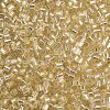 8/0 Glass Bugle Beads SEED-S032-07A-22-3