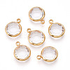 K9 Glass Charms GLAA-T023-37A-02-1
