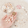 135Pcs 5 Size Natural Conch Shell Beads BSHE-PH0001-14-3