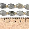 Natural Labradorite Beads Strands G-A295-A01-01-5