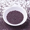 MIYUKI Delica Beads X-SEED-J020-DB1012-2