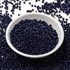 MIYUKI Round Rocailles Beads X-SEED-G008-RR4494-2