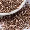 MIYUKI Round Rocailles Beads X-SEED-G009-RR3521-1