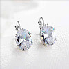 Oval Alloy Rhinestone Leverback Earrings FS-WG5DBAA-04-1