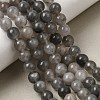 Natural Gemstone Cloudy Quartz Faceted Round Bead Strands G-O021-8mm-03B-1
