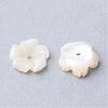 Natural Sea Shell Beads SSHEL-S250-14-2