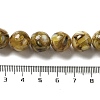 Freshwater Shell Beads Strands BSHE-L039-08A-02-4