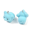 Flocky Resin Pendants X-FIND-A052-05E-2