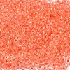 6/0 Transparent Glass Seed Beads SEED-F003-03A-11-3