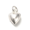 925 Sterling Silver Pendants STER-P057-07C-S-1