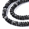 Natural Larvikite Beads Strands G-S366-091A-3