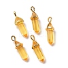 Bullet Glass Pointed Pendants GLAA-K058-02G-05-1