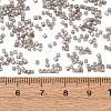 Glass Seed Beads GL-CBA5413-02I-3