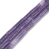 Natural Lepidolite/Purple Mica Stone Beads Strands G-H269-03-1