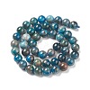Natural Apatite Beads X-G-E481-05-8mm-01-3