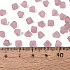 FGB Frosted Transparent Glass Seed Beads SEED-N013-03A-06-4