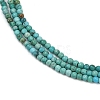 Natural HuBei Turquoise Beads Strands G-C181-A01-01-4