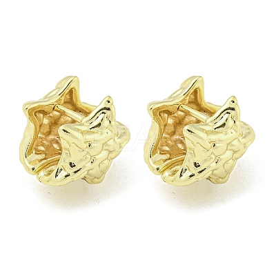 Brass Hoop Earrings EJEW-Q799-03B-G-1