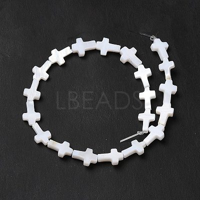 Natural Freshwater Shell Beads Strands X-BSHE-E026-18-1
