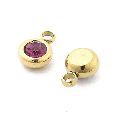 304 Stainless Steel Charms STAS-Z115-01G-1