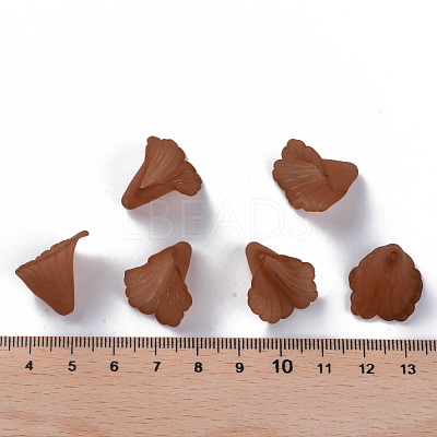 Transparent Acrylic Bead Caps PL551-C06-1
