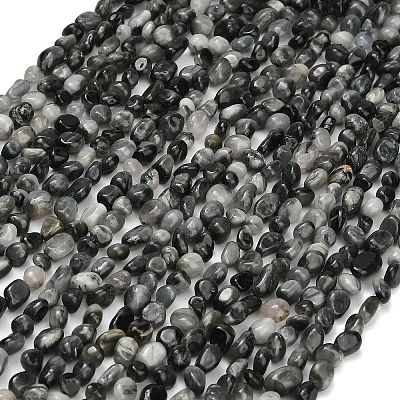 Natural Eagle Eye Stone Beads Strands G-D108-A02-04-1