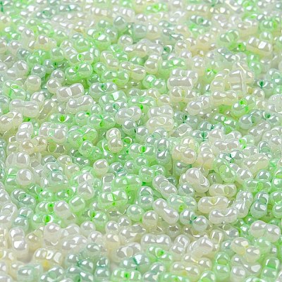 Glass Seed Beads SEED-K009-02B-20-1