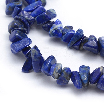 Natural Lapis Lazuli Beads Strands G-P332-50-1