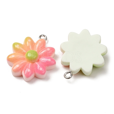 Gradient Color Opaque Resin Pendants RE-CBA5B90-05-1