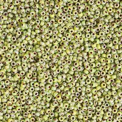 MIYUKI Round Rocailles Beads SEED-X0055-RR4515-1
