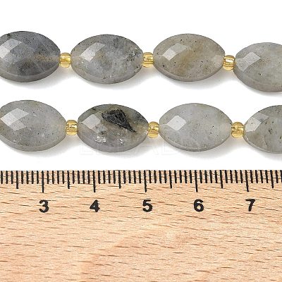 Natural Labradorite Beads Strands G-A295-A01-01-1