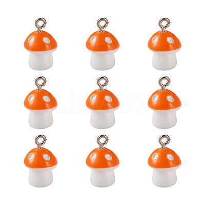 Plastic Pendants KY-TA0001-15F-1