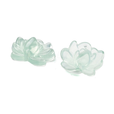 Acrylic Beads OACR-U001-05C-1