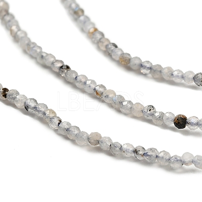 Natural Labradorite Beads Strands G-RM2025-10-2mm-1