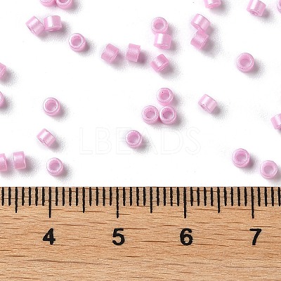 Baking Paint Glass Seed Beads SEED-S042-15A-04-1