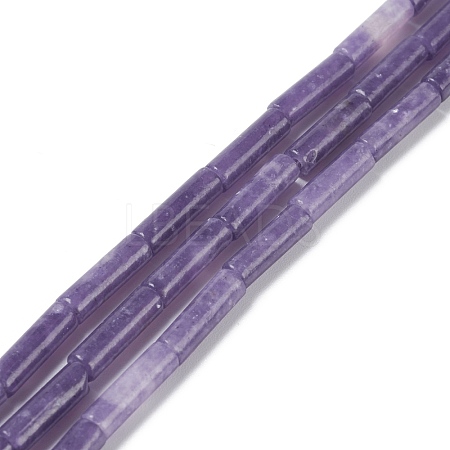 Natural Lepidolite/Purple Mica Stone Beads Strands G-H269-03-1