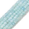 Natural Freshwater Shell Dyed Beads Strands SHEL-R100-11A-03-1