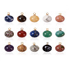 Yilisi 30Pcs 15 Colors Natural Gemstone Charms G-YS0001-01-18